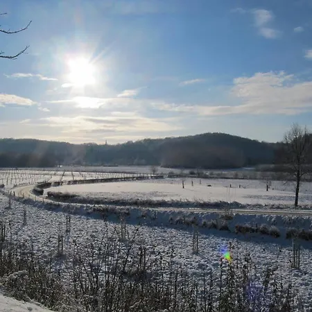 Herberg Hotel Valkenburg Отель *